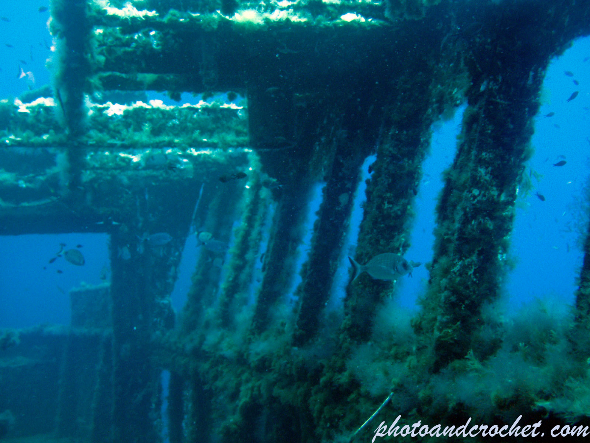 Um El - Faroud - Image