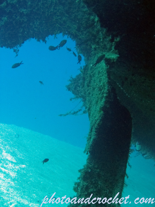 Um El - Faroud - Image