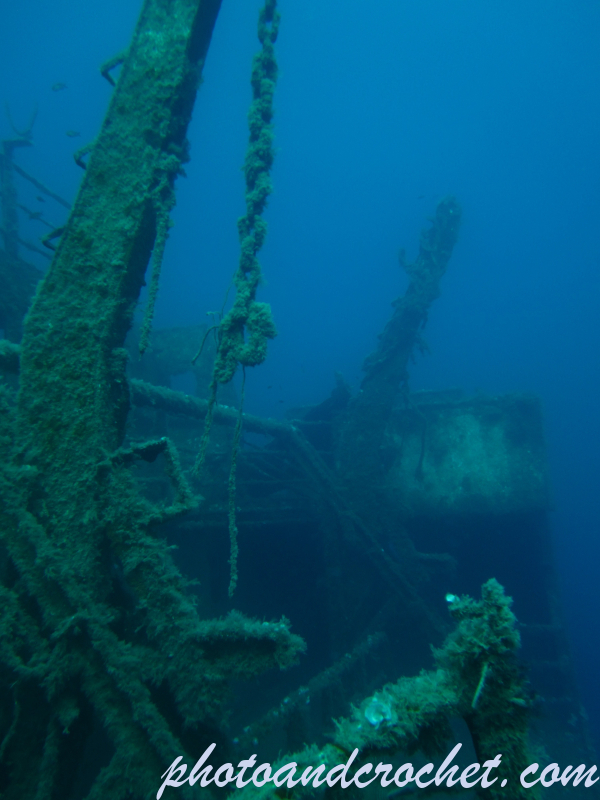 Um El - Faroud - Image