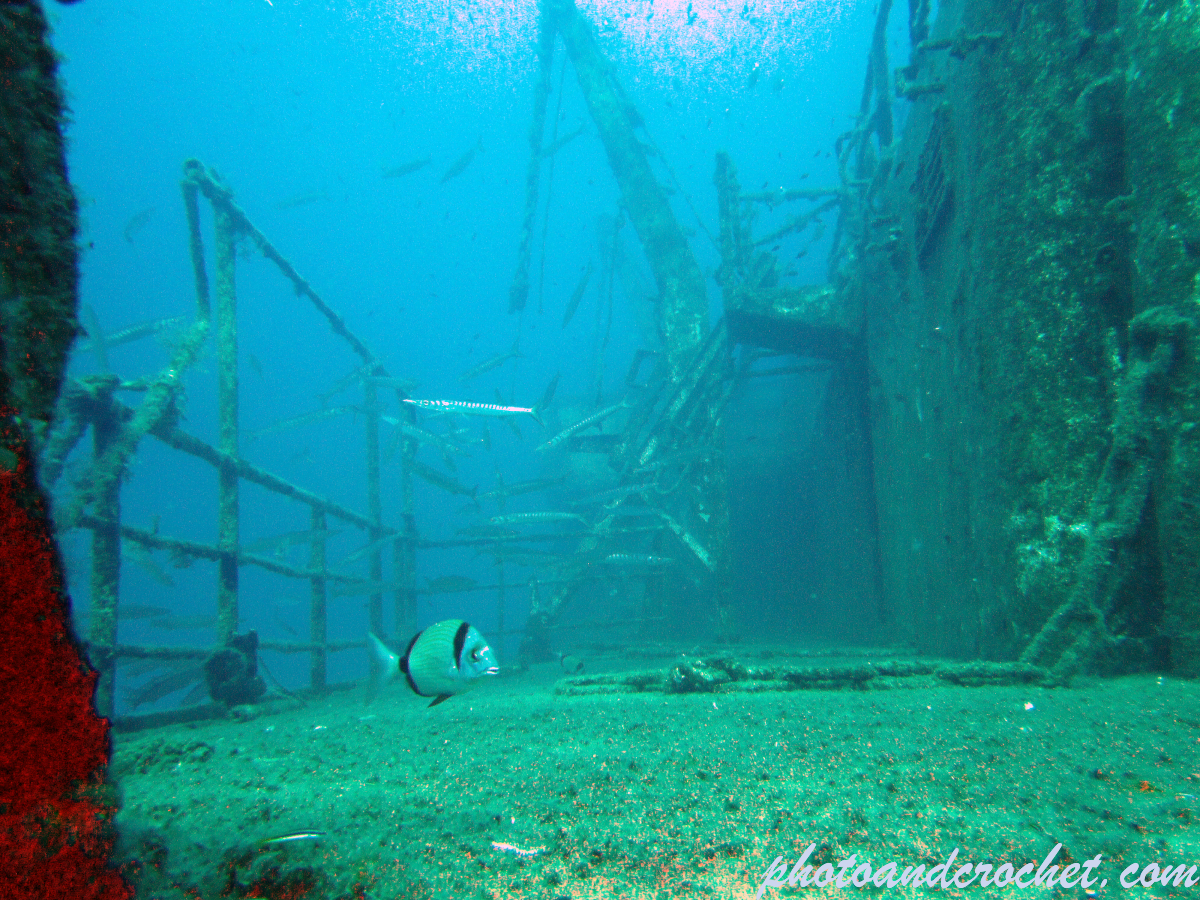 Um El - Faroud - Image