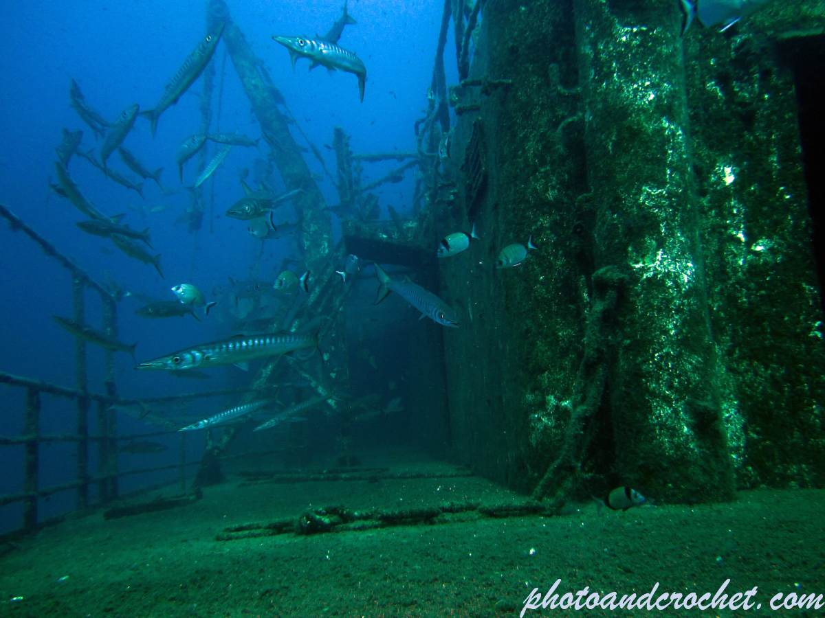 Um El - Faroud - Image