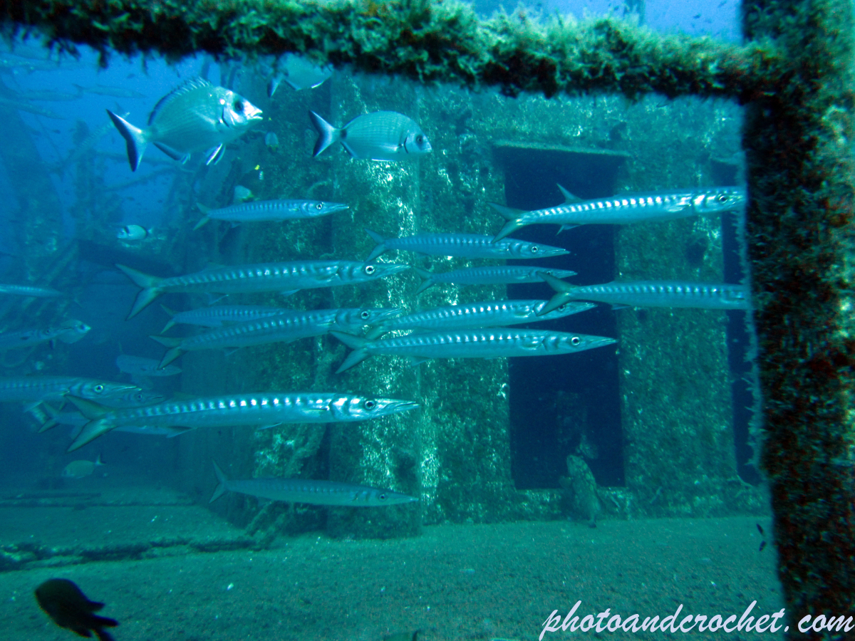 Um El - Faroud - Image