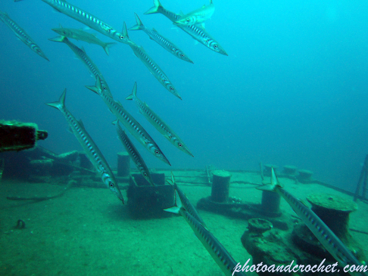 Um El - Faroud - Image