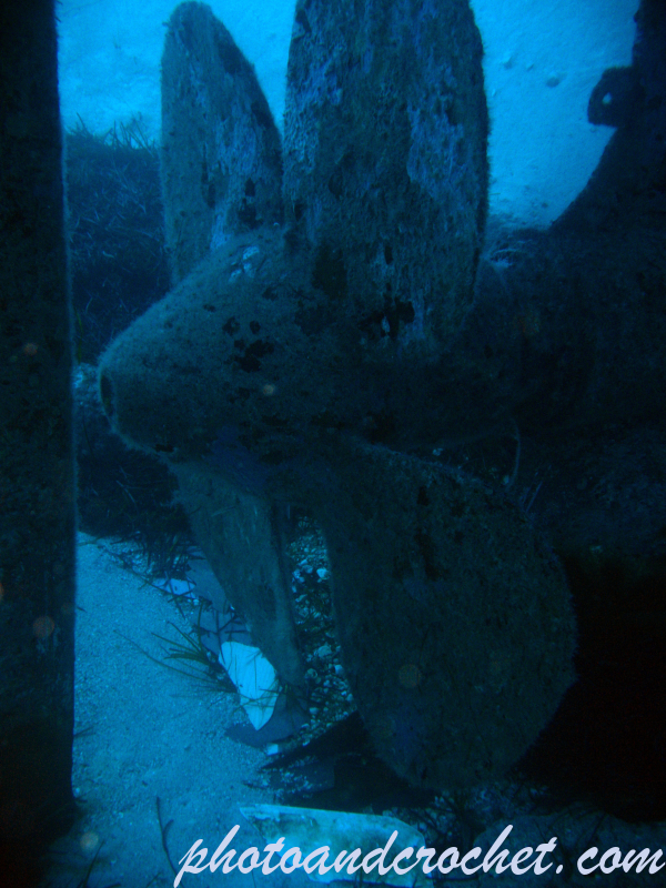 Um El - Faroud - Image