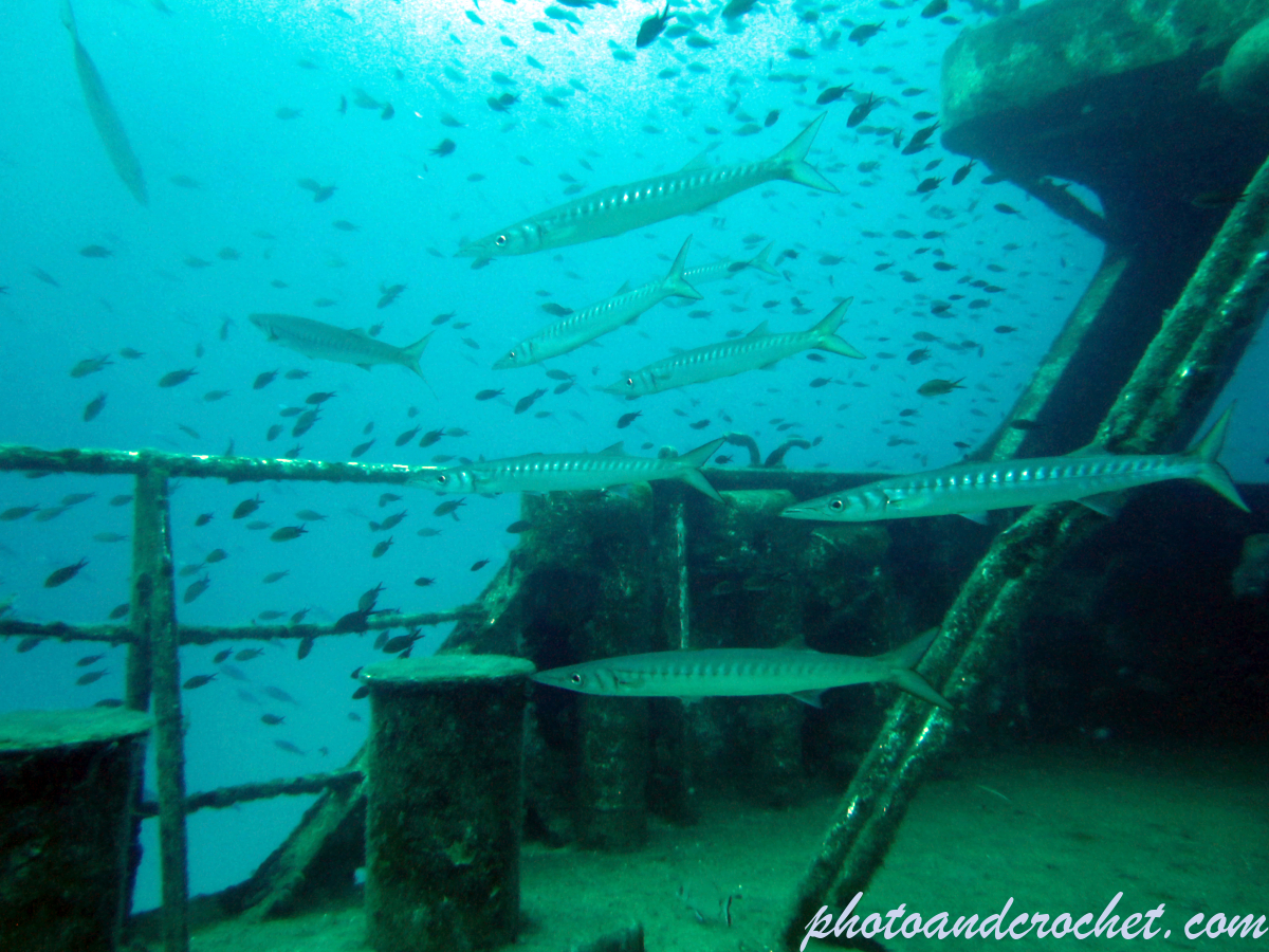 Um El - Faroud - Image