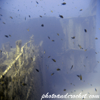 ซากเรือ Um El-Faroud – มอลตา