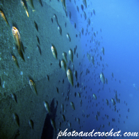 Épave de l’Um El-Faroud, Malte