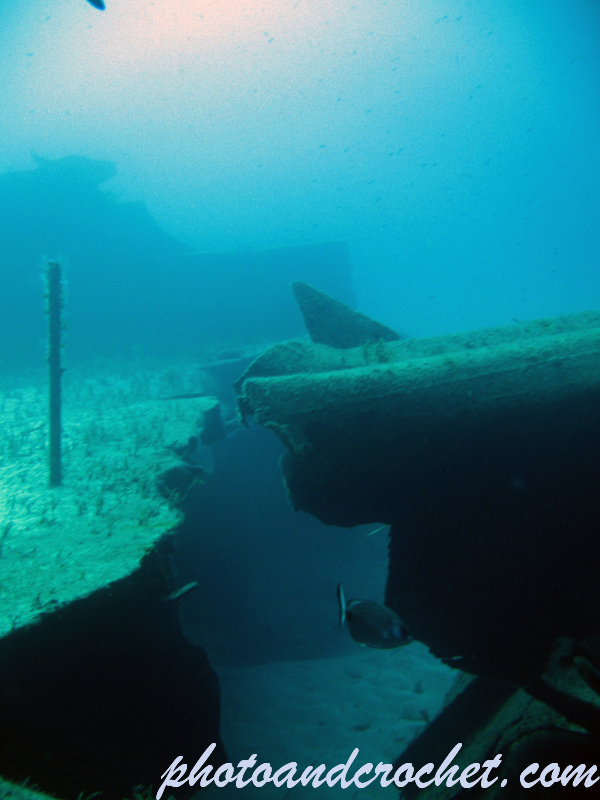 Um El - Faroud - Image