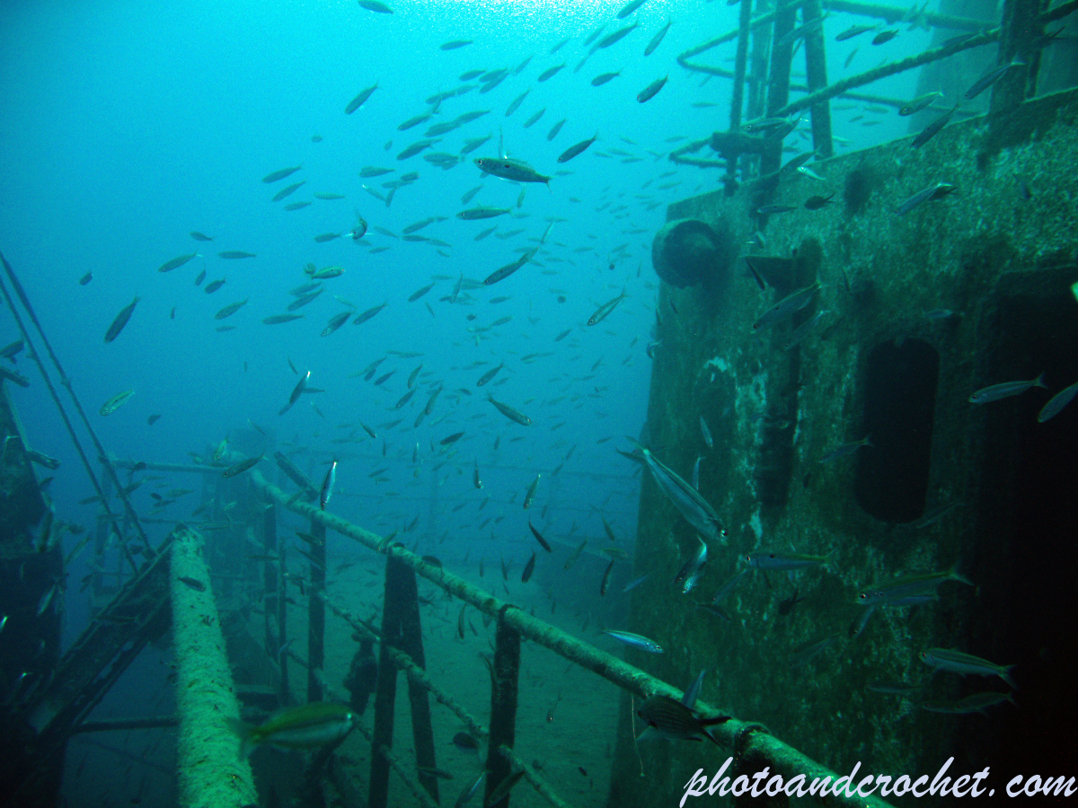 Um El - Faroud - Image