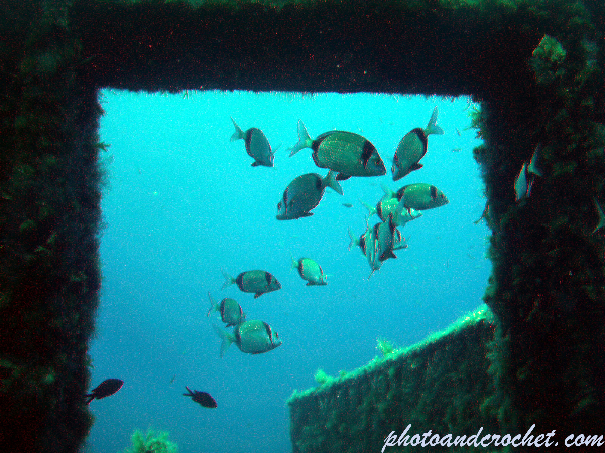 Um El - Faroud - Image