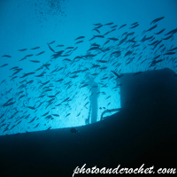 Um El - Faroud - Image