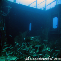 Um El - Faroud - Image