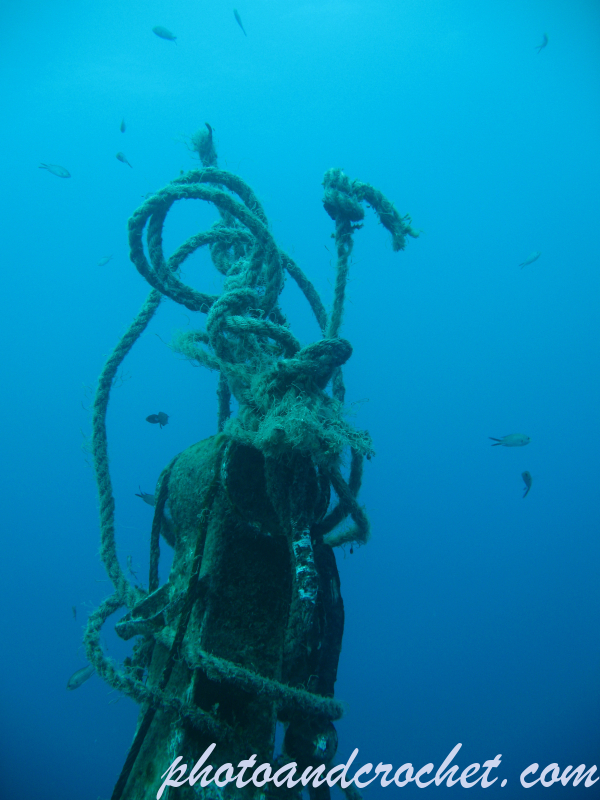 Um El - Faroud - Image