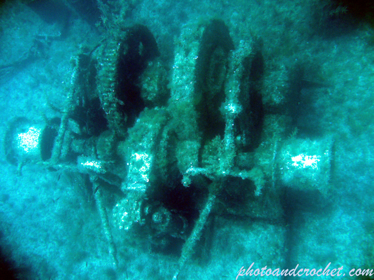 Um El - Faroud - Image