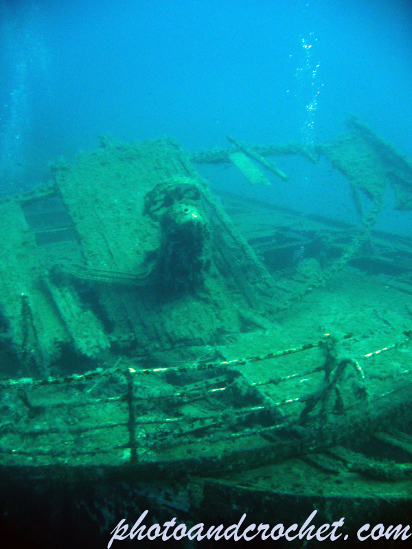 Imperial Eagle - Image