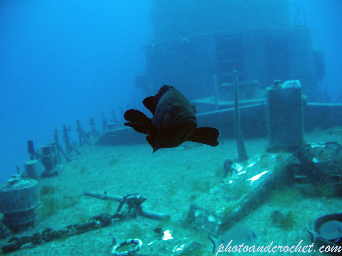 P 29 - Boltenhagen - Image