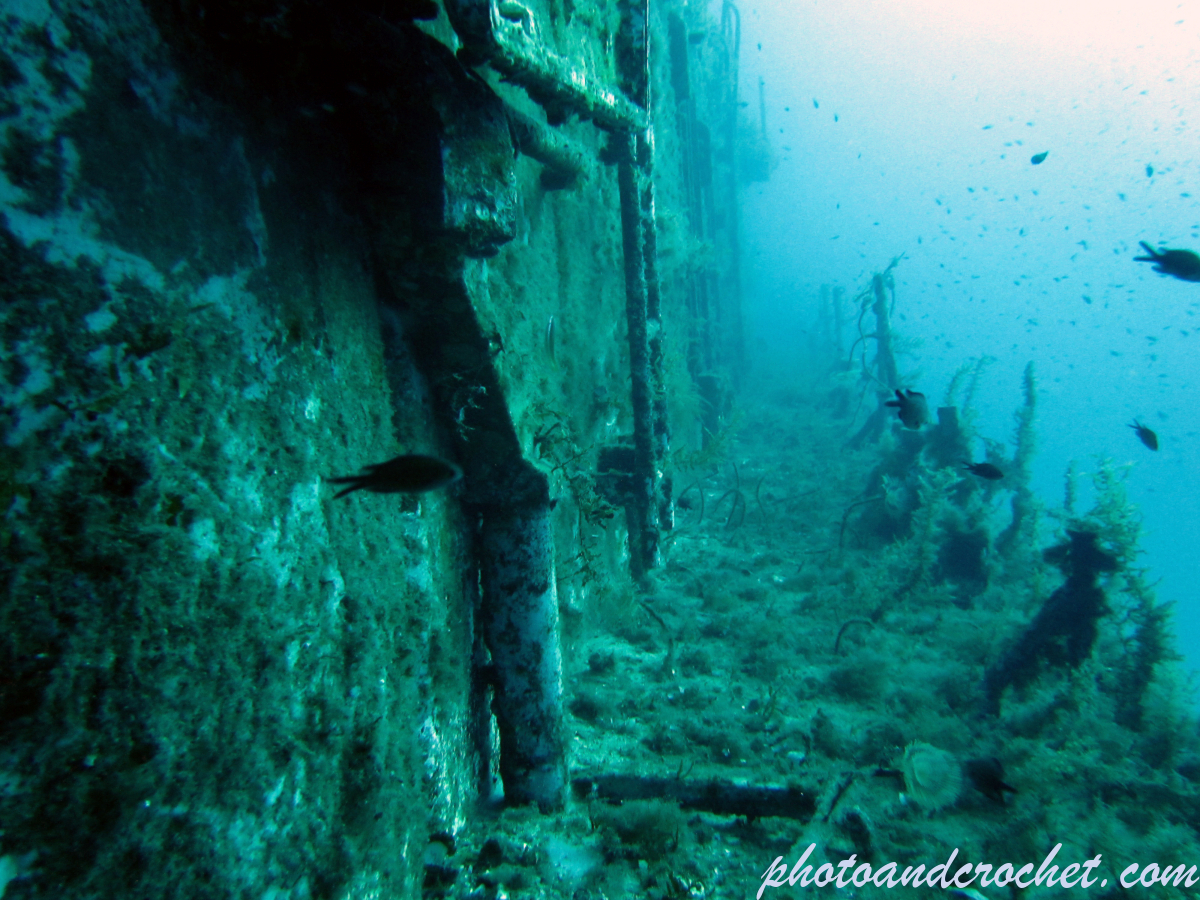 P 29 - Boltenhagen - Image