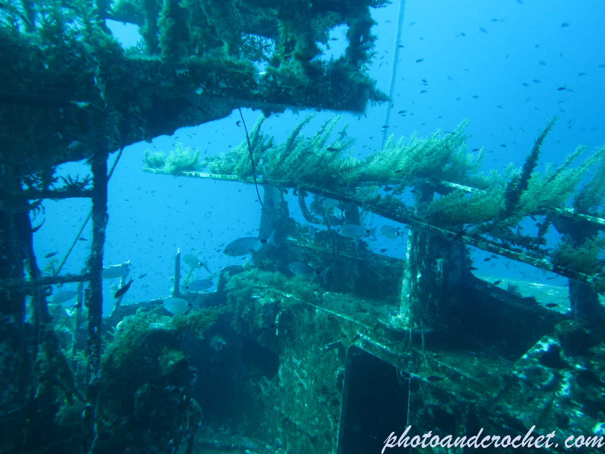 P 29 - Boltenhagen - Image