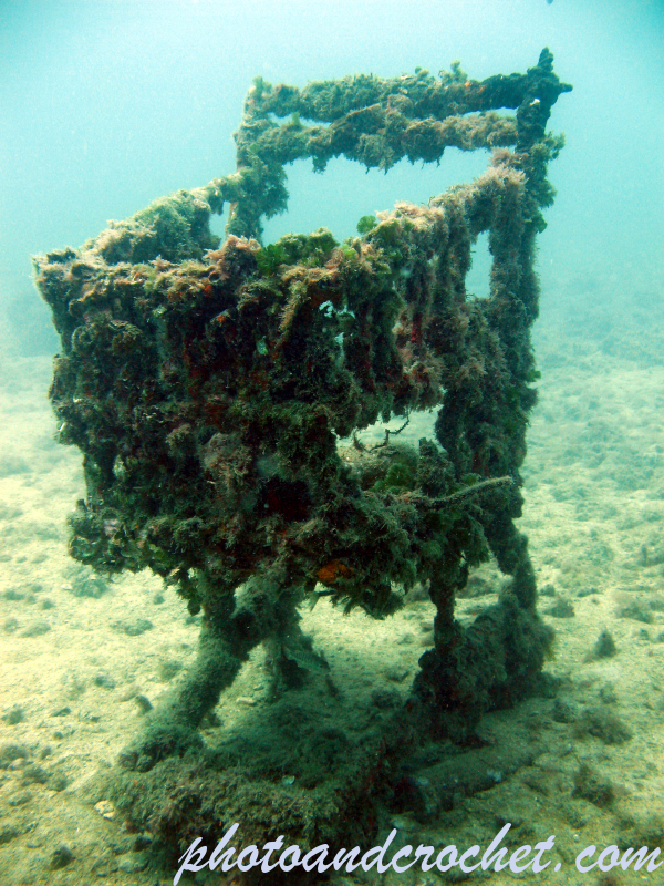 Shopping Trolley - Image