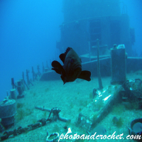 P 29 - Boltenhagen - Image