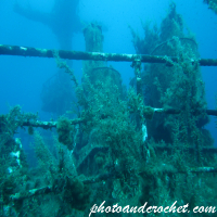 P 29 - Boltenhagen - Image