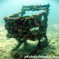 Shopping Trolley - Image