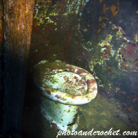 Relitt Tug Rozi, Malta