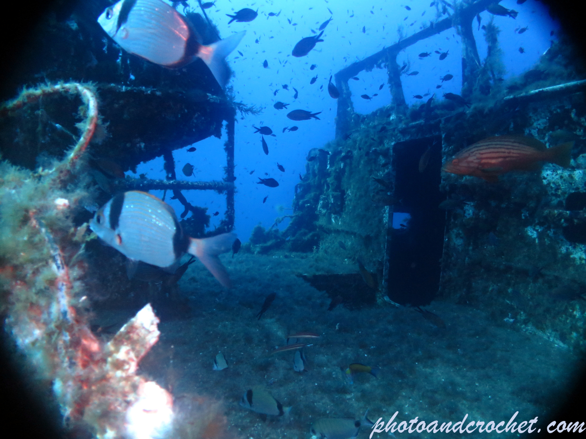 P29 - Boltenhagen - Image