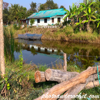Udon Thani - Farm - Image