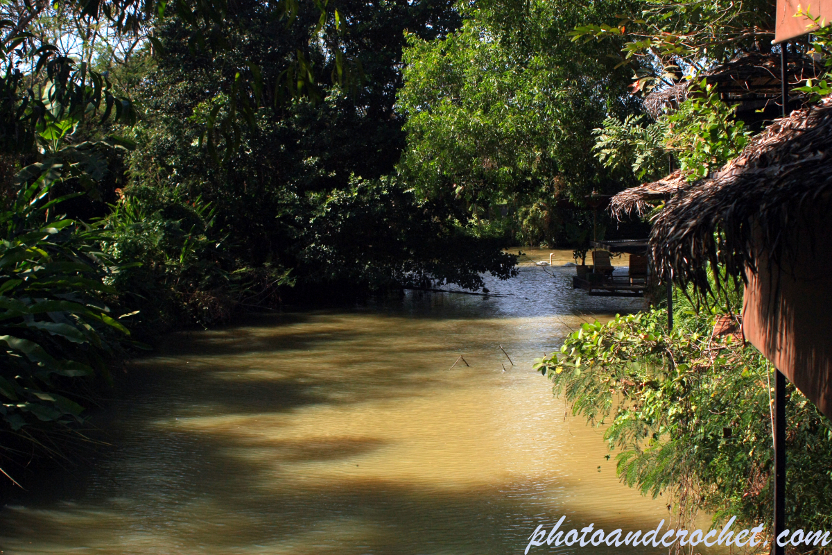 Pattaya - Find the swan - Image