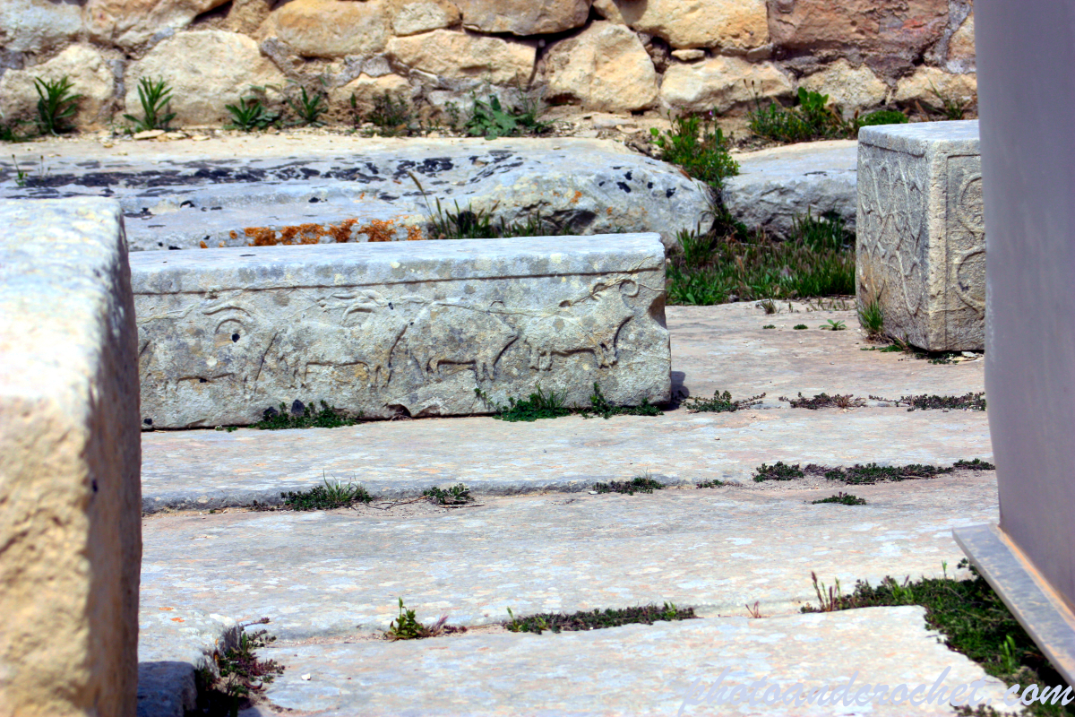 Tarxien Temples - Image