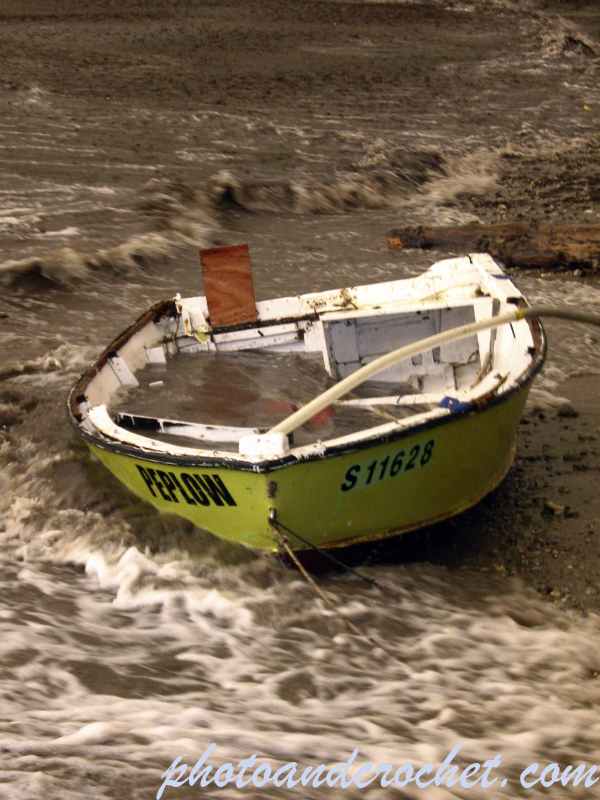 Nautical - washed ashore - Image