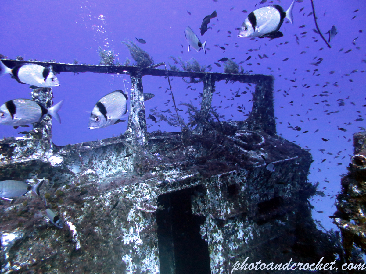 P 29 - The upper bridge - Image