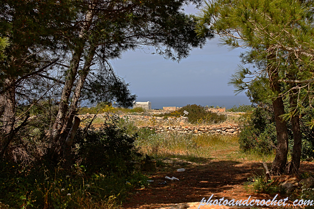 Mellieha - Selmun - Image