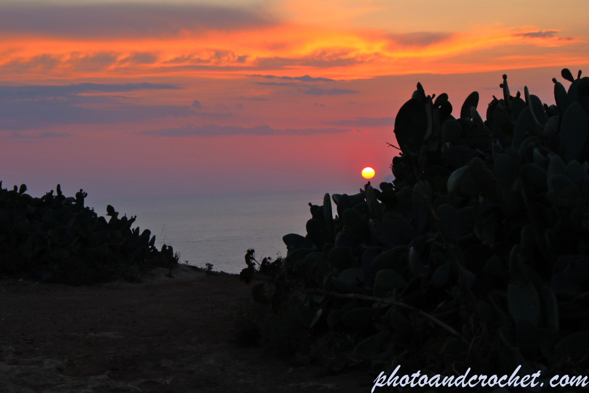 Sunset - Behind the bushes - Image