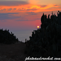 Sunset Through the Bushes at Latnija