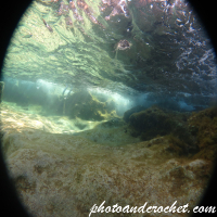 Susies Pool - Reflections 03 - Image