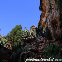 Mellieha - Rdum Il-Qawwi - Image