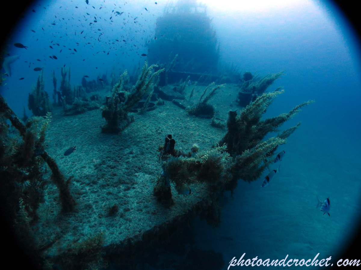 P 29 - Boltenhagen - Image