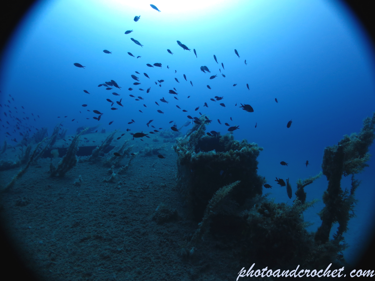 P 29 - Boltenhagen - Image