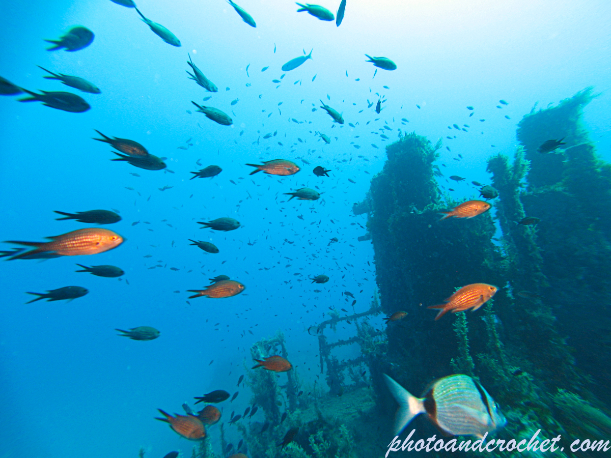 P29 - Boltenhagen - Image