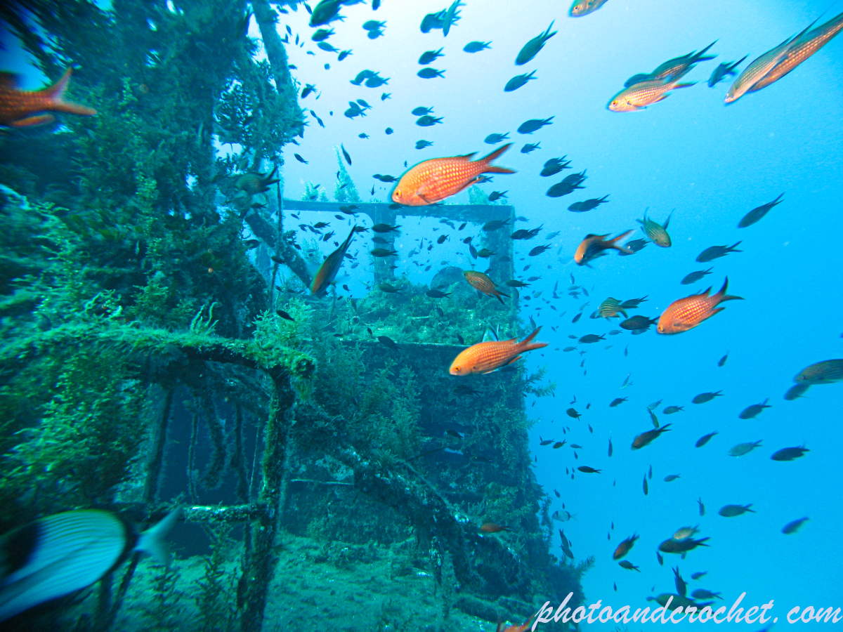 P29 - Boltenhagen - Image