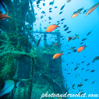 P29 - Boltenhagen - Image