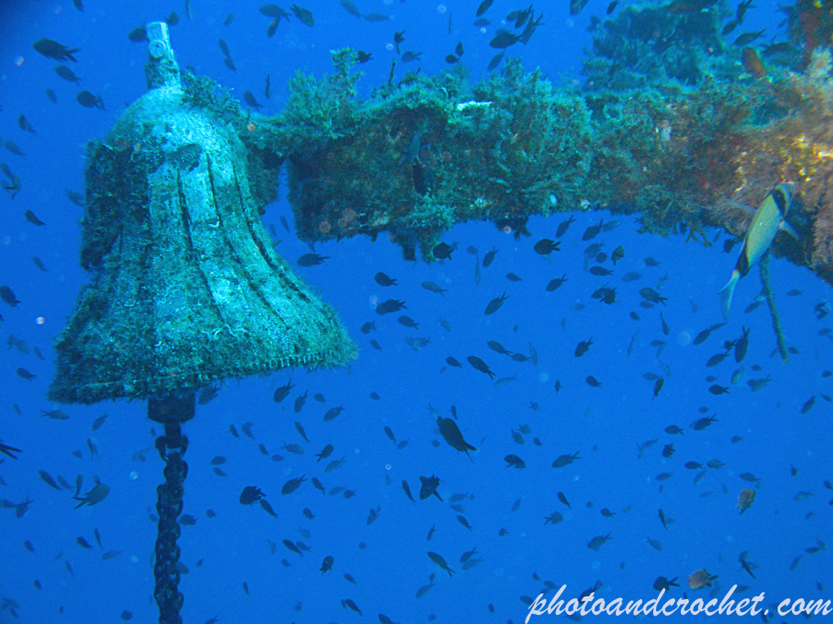 P29 - Boltenhagen - Image