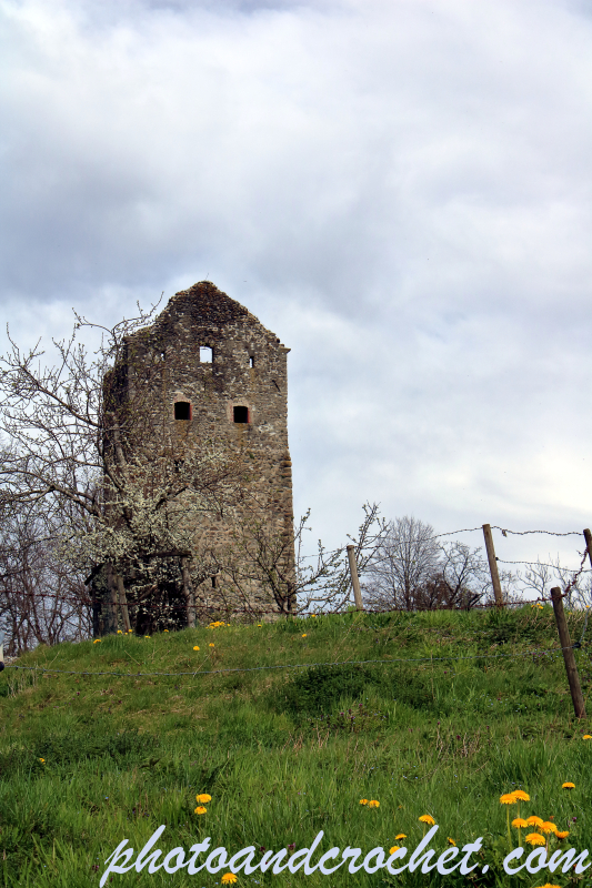 Neuravensburg - The castle - Image