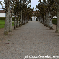 Leutkirch - Schloss Zeil - Image
