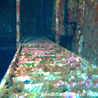 Wrecks - Tug Rozi - Image