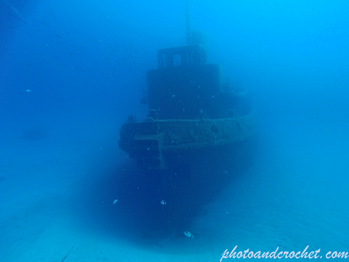 Tug Rozi - Surviving