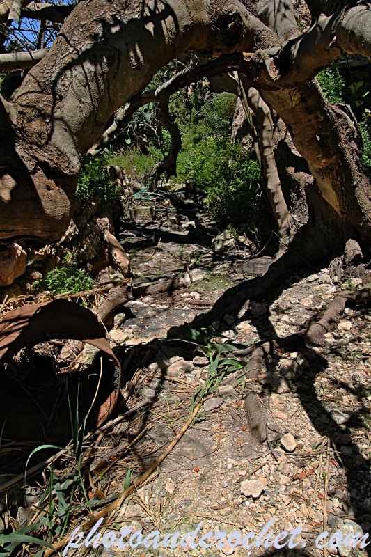 Mellieha - L-Għar u Casa - Image