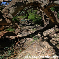 Mellieha - L-Għar u Casa - Image